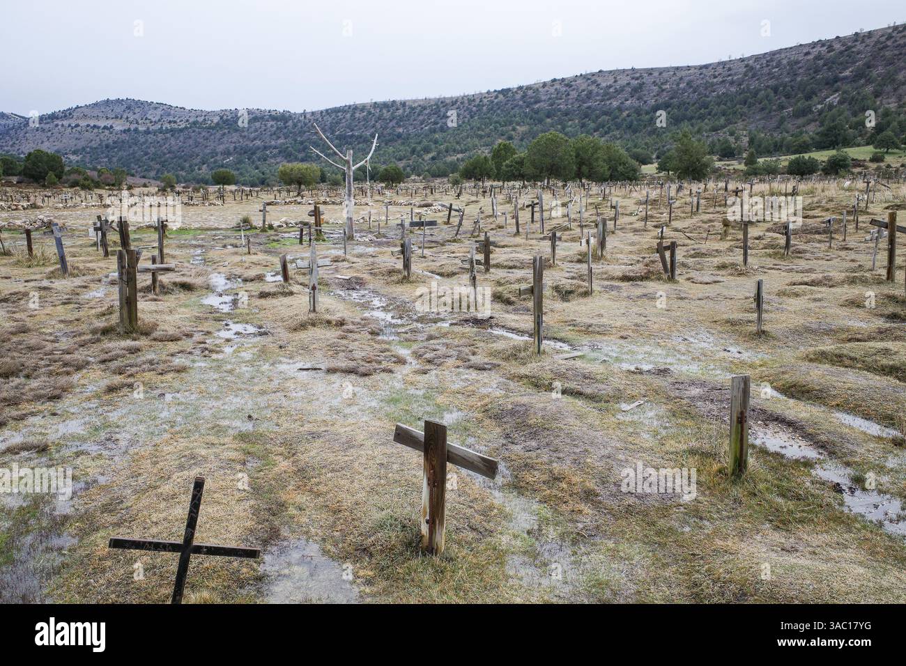 The good the bad and the ugly hi-res stock photography and images - Alamy