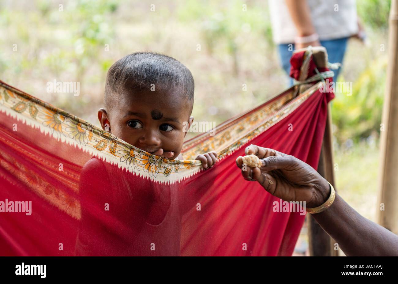Child Labour Tea Children of tea plantation workers takes care by daycare worker ...