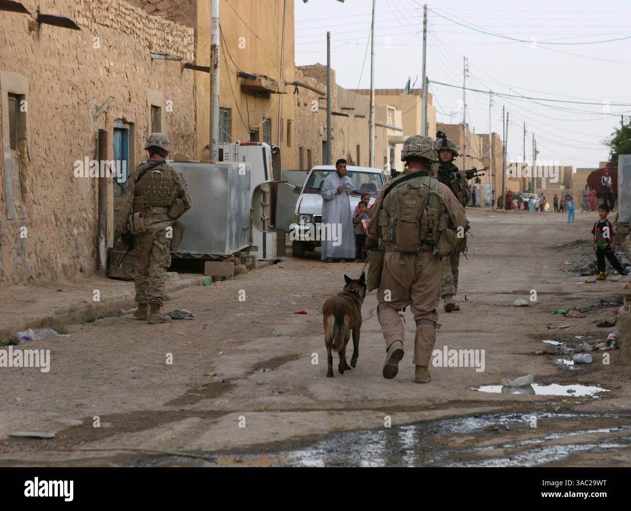 1st military working dog regiment hi-res stock photography and images ...