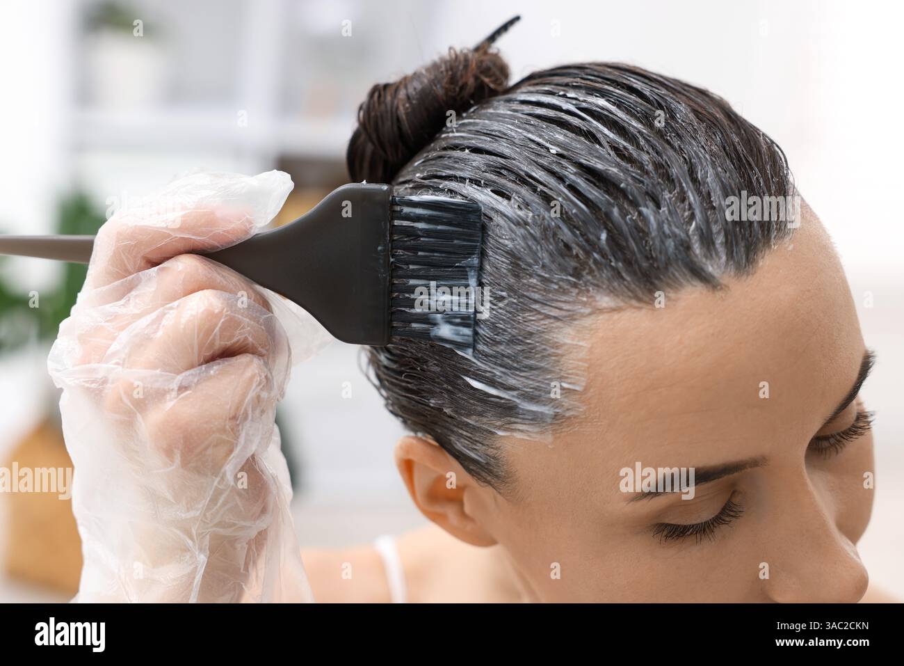 Closeup woman dyeing hair hi-res stock photography and images - Alamy
