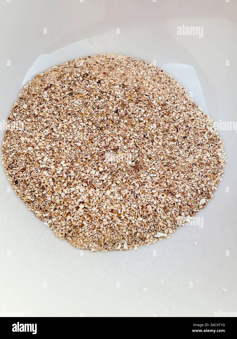 A simple white bowl brims with finely ground eggshells, their delicate, powdery texture a testament to their transformation from kitchen waste to soil - Smartphone Captured Stock Image