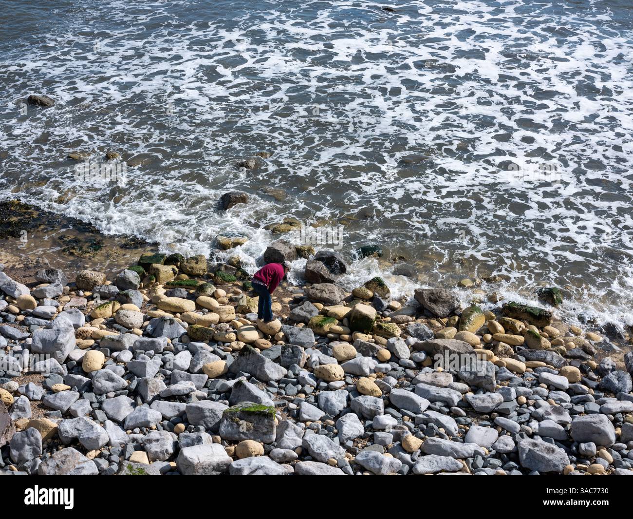 A family exploring a beach on Hartlepool Headland in the north east of England. Stock Photo