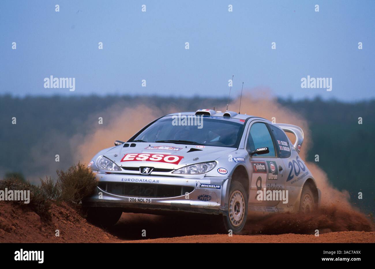 IXO-MODELS CIXJ000050 Scale 1/43 | PEUGEOT 206 WRC N 14 RALLY TOUR DE