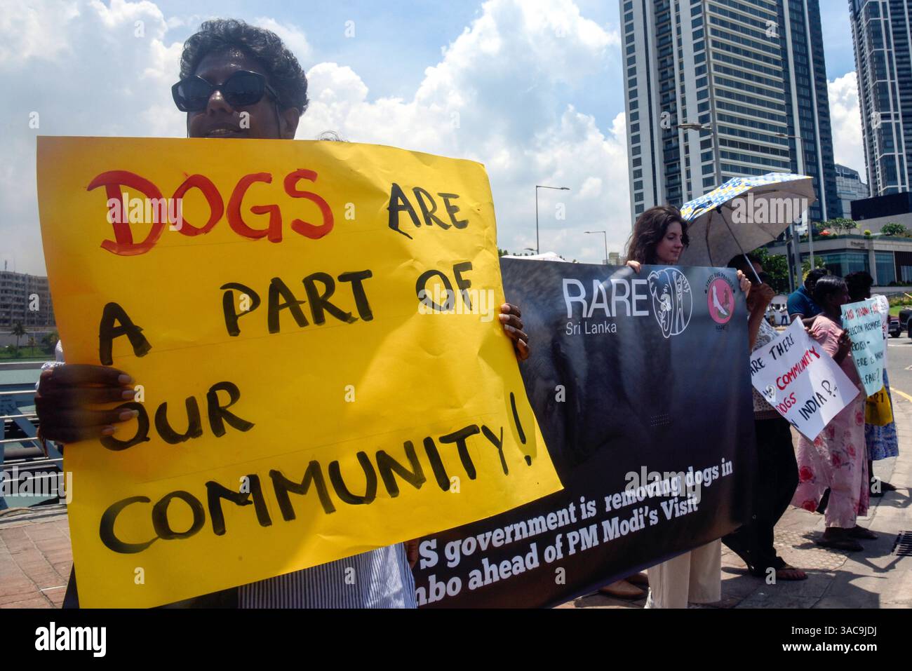 Protesting Dogs Animal rights activists protest the removal of stray dogs ahead of ...