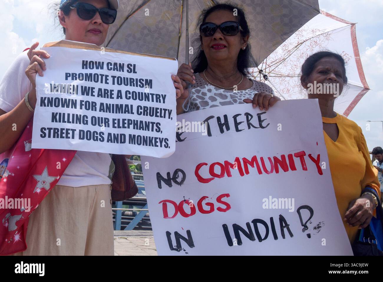 Protesting Dogs Animal rights activists protest the removal of stray dogs ahead of ...