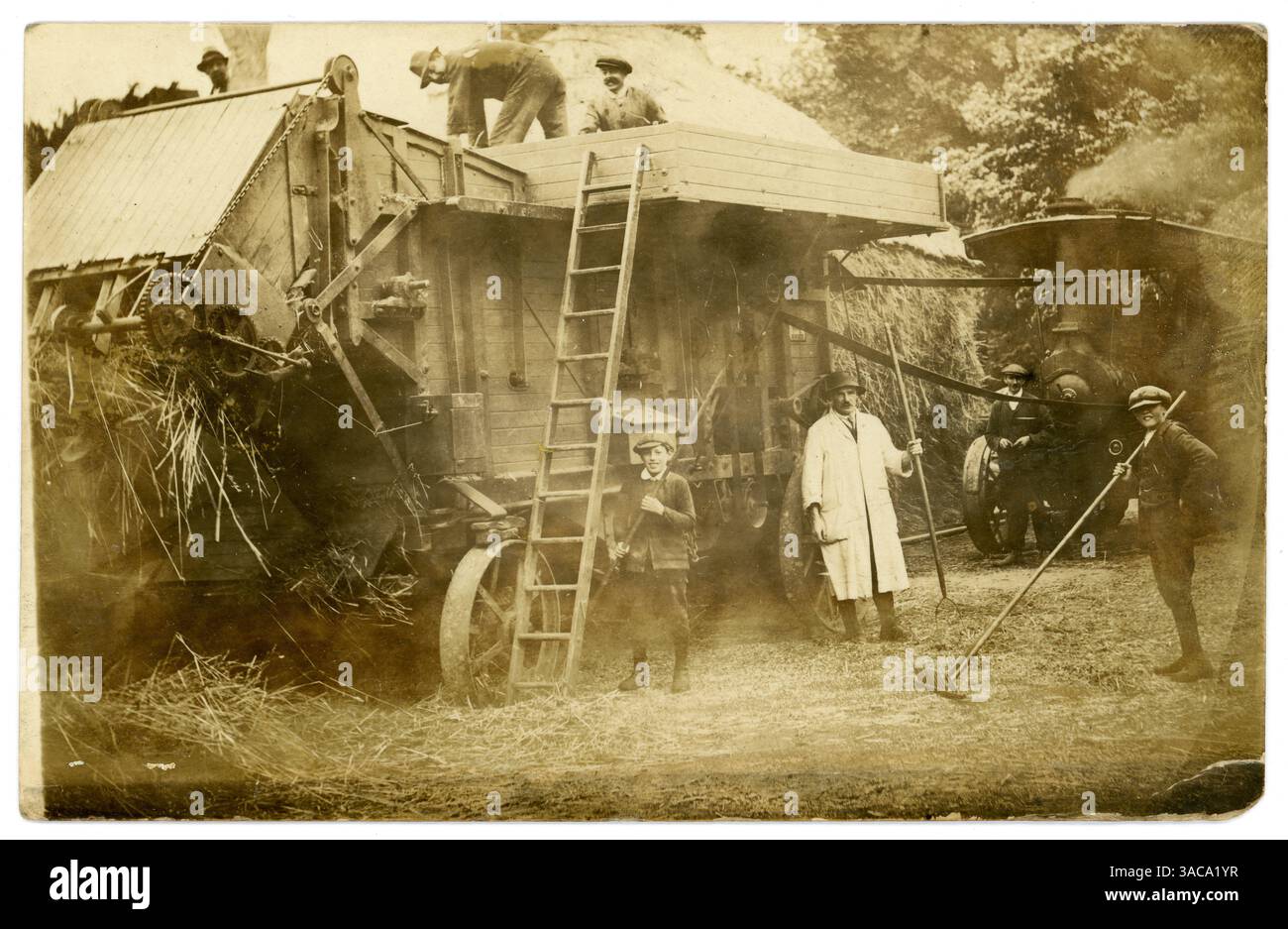 Early 1900s USA photo farm machinery threshing crops Early 1900s USA photo farm machinery threshing crops