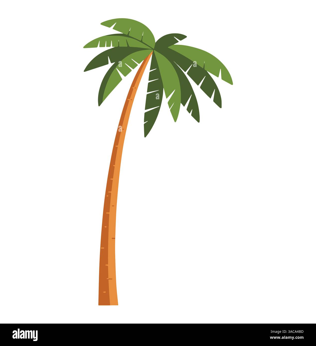 Cartoon palm tree illustration on white background. Perfect for tropical and summer-themed designs. Stock Vector