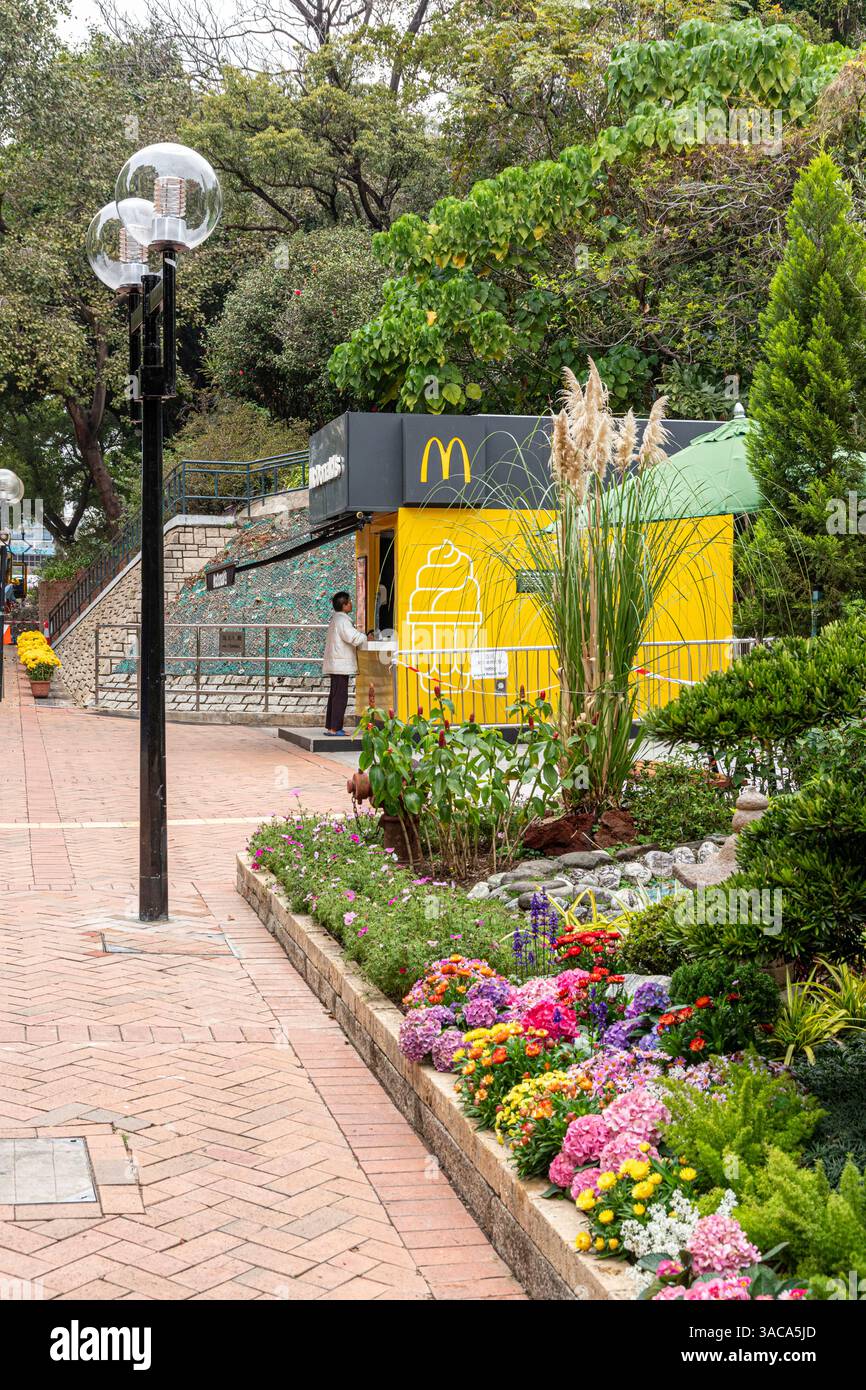 Flowers and McDonalds in Kowloon Park, Kowloon, Hong Kong, China Stock Photo