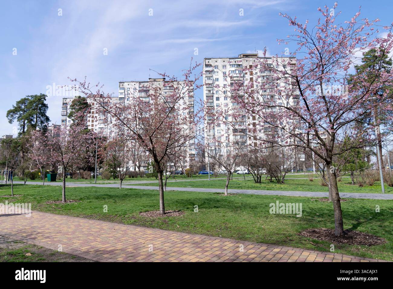 With the arrival of spring in Ukraine, cherry blossoms are now in bloom ...