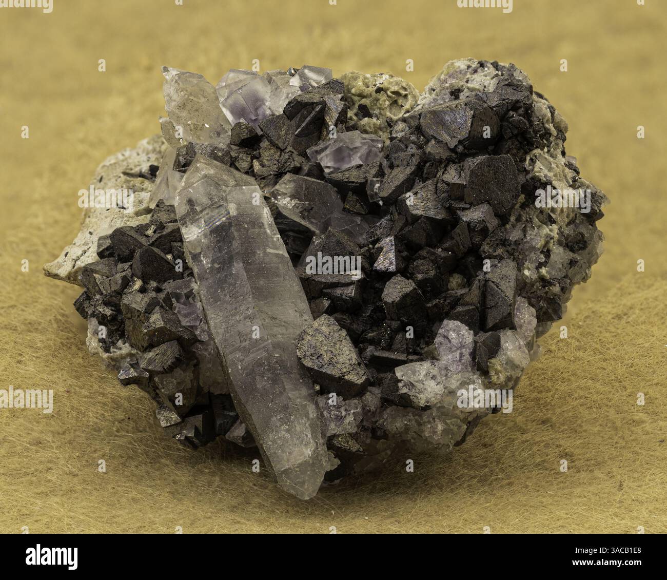 Various intricate forms hi-res stock photography and images - Alamy