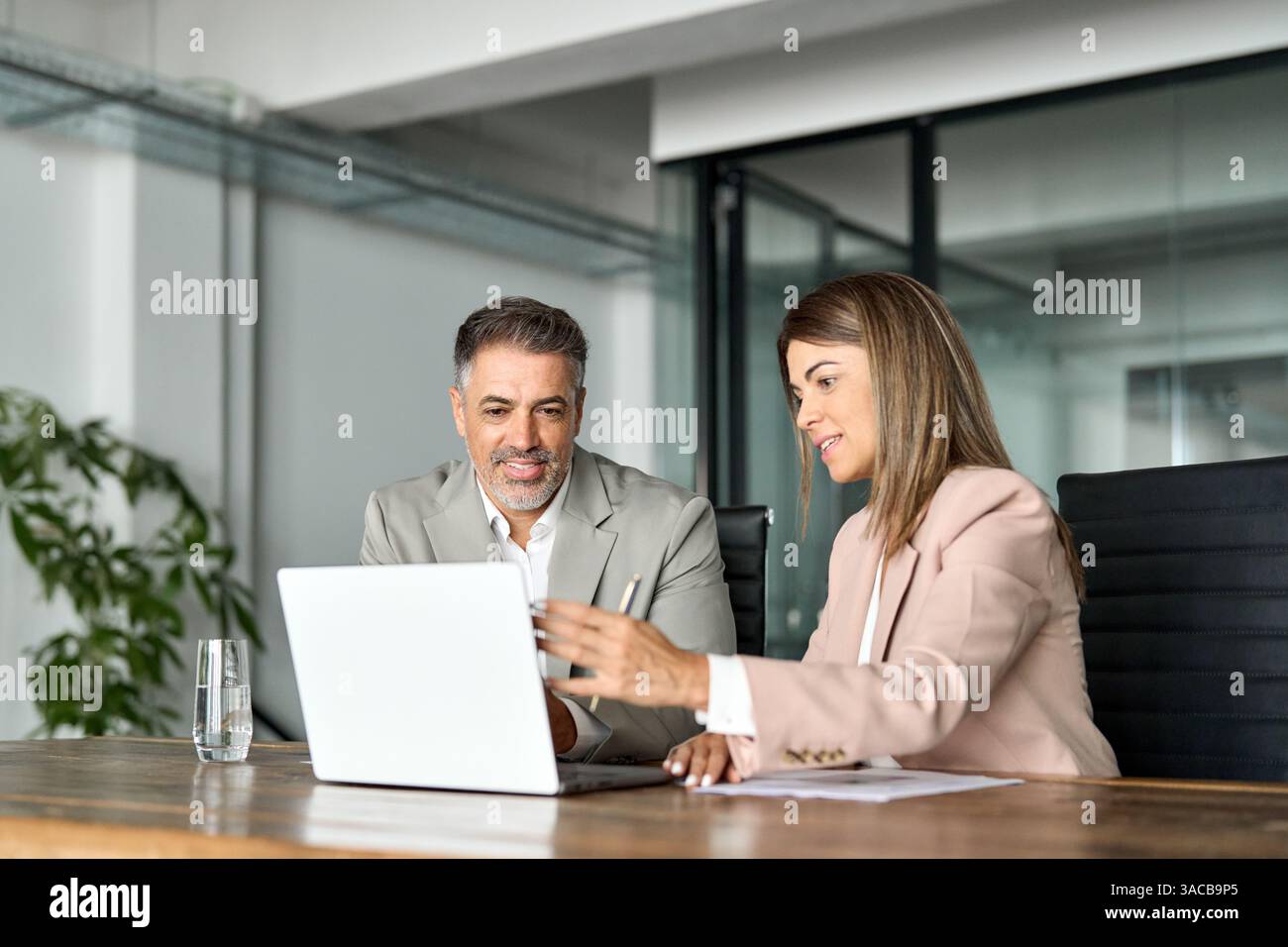 Two professional business executives working together at office meeting ...