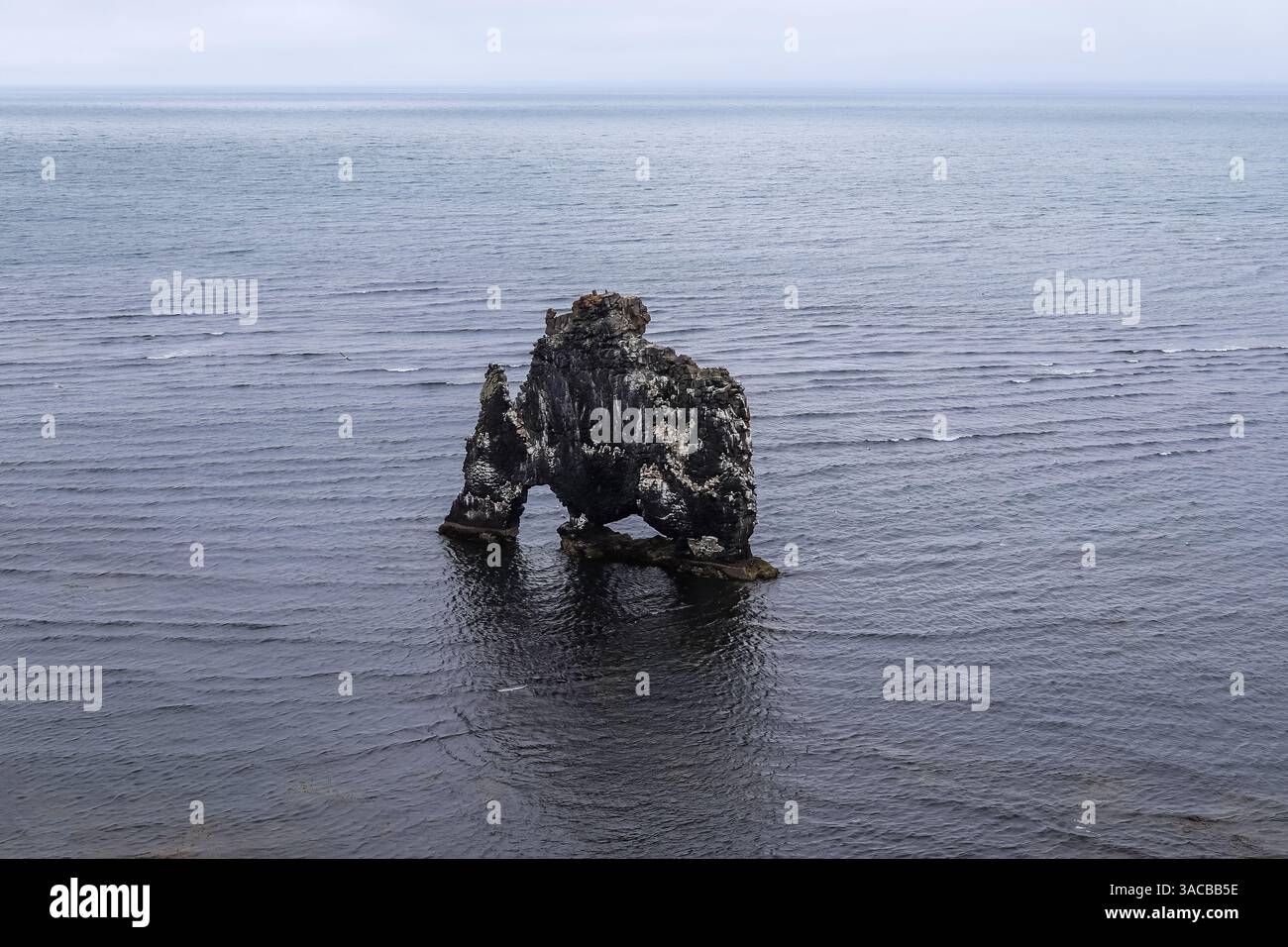 Hvitserkur, a basalt sea stack rising 15 m from the Húnaflói bay on the ...