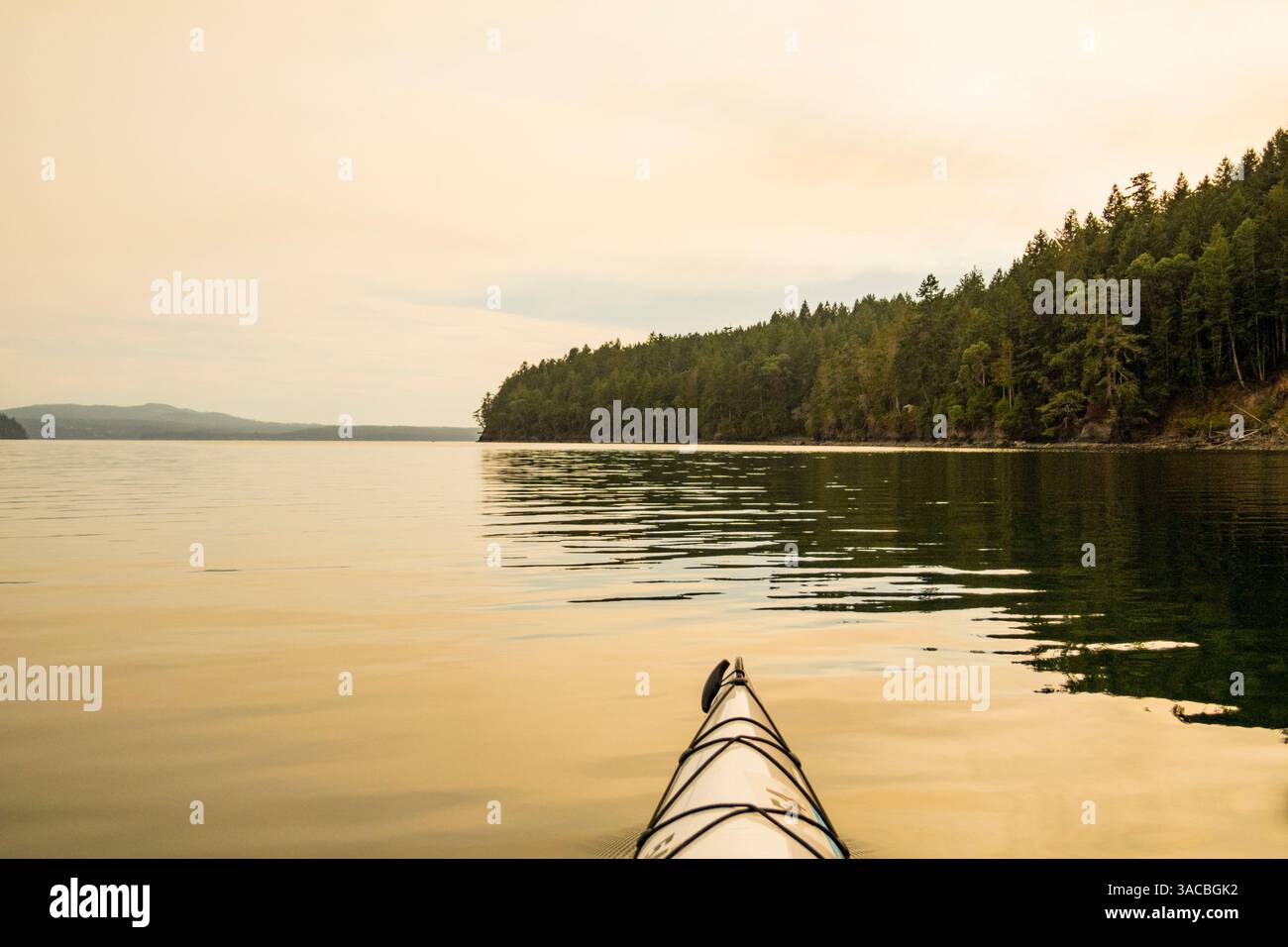 Paddling Hood Canal, Quilcene, Washington State, USA Stock Photo - Alamy