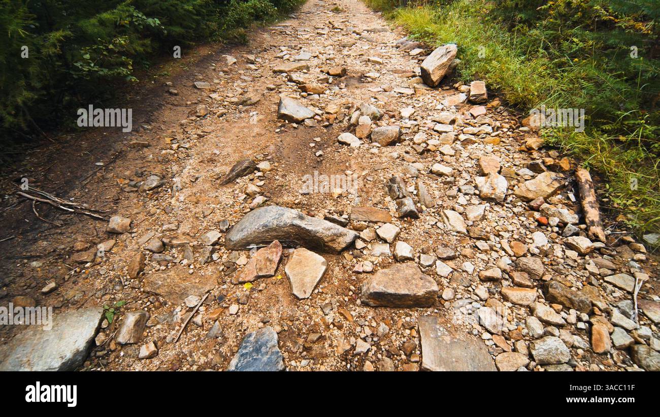 Rugged mountain path winding through verdant woodland, challenging ...