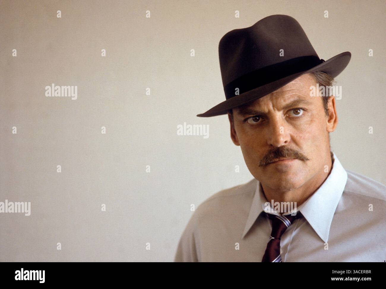 Mike hammer stacy keach hi-res stock photography and images - Alamy, image size:1300x971