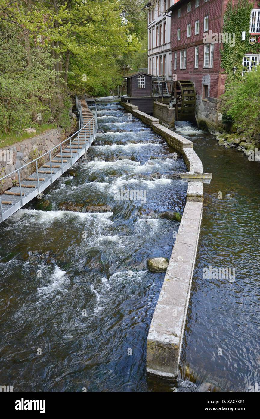 Bachlauf mit Wassermühle und Fischtreppe Stock Photo