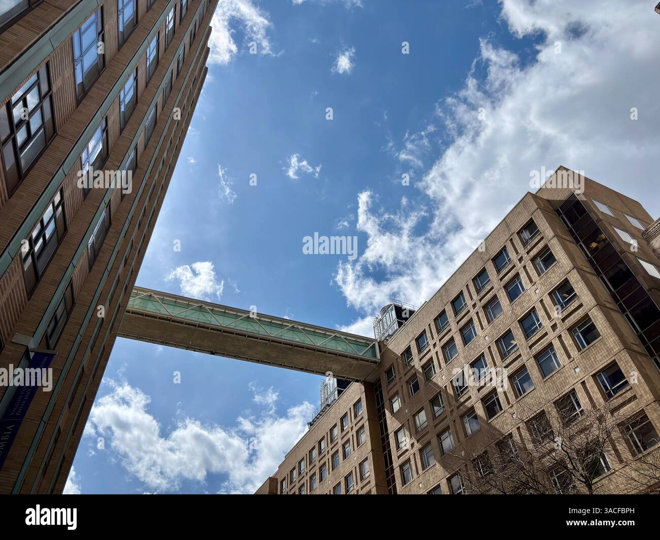 Glass skybridge connects hospital buildings under a bright blue sky ...