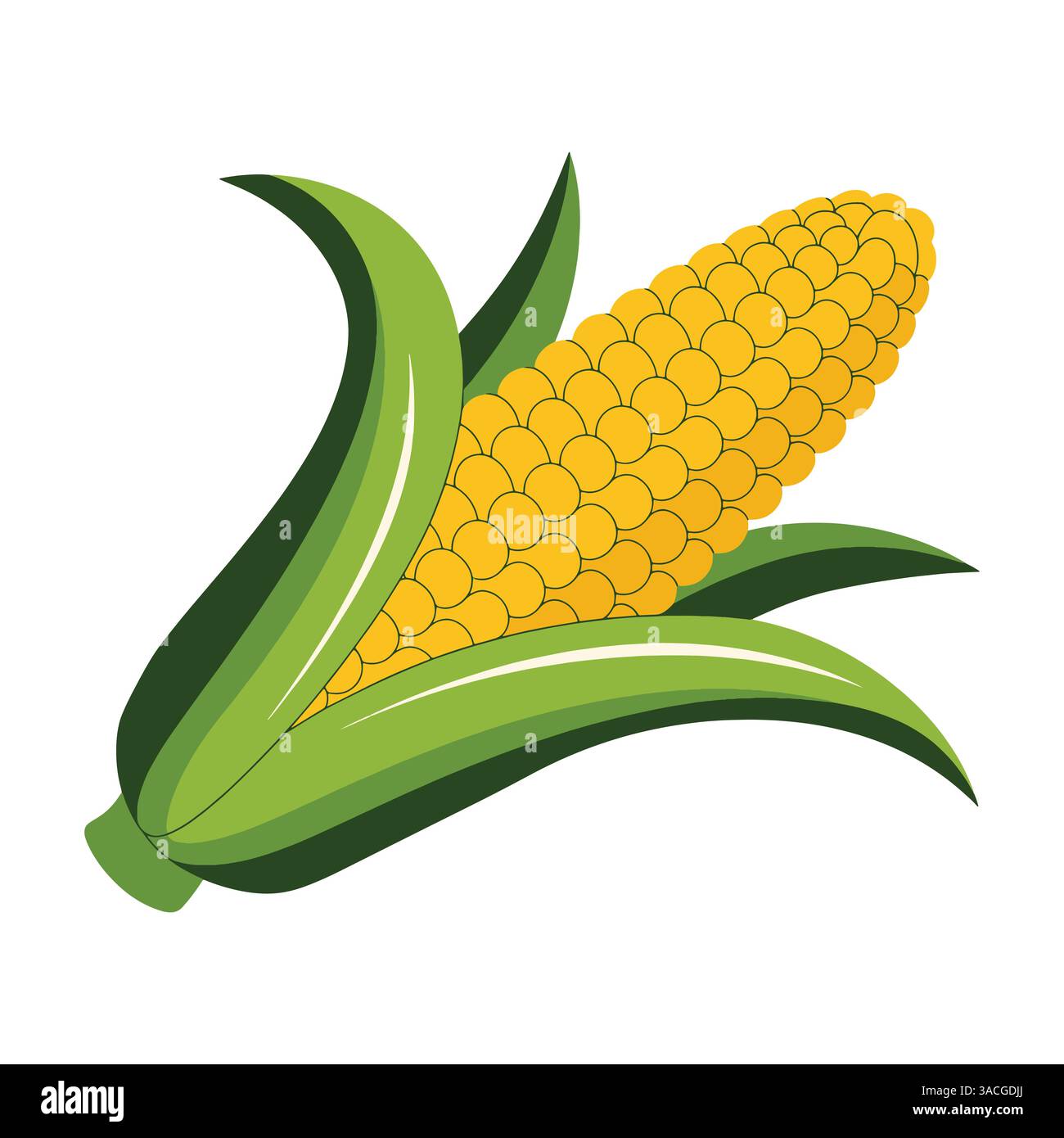Corn vegetable vector illustration. Perfect design element for Mexican ...