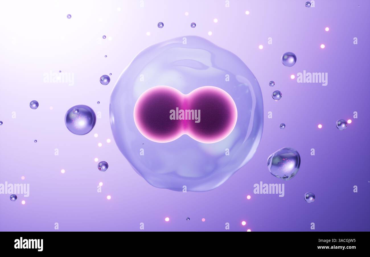 Cells division, Cell divides into two cells, biology and medicine ...