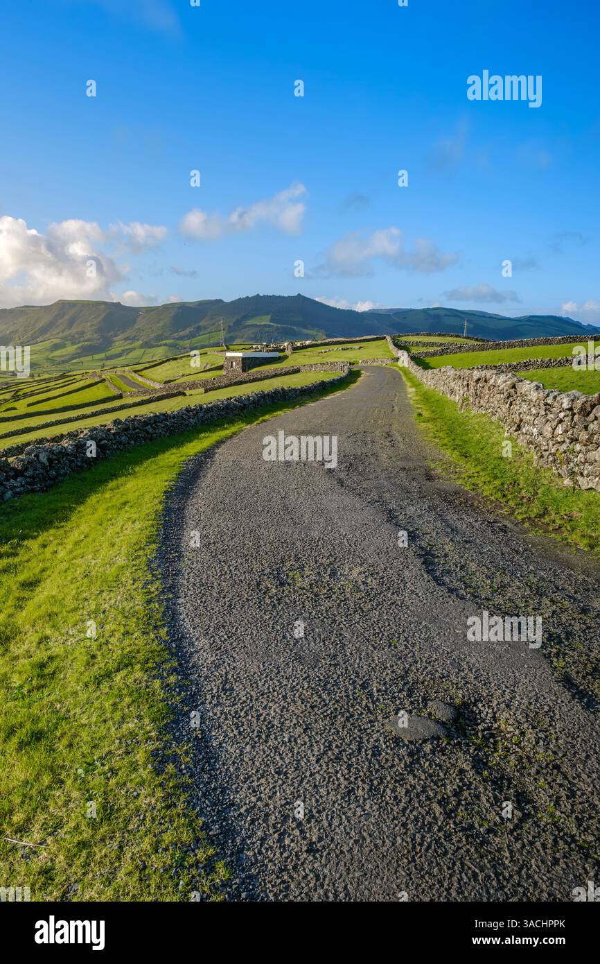 A picturesque gravel road winds through the lush green countryside of Terceira, framed by traditional stone walls, capturing the island's serene rural Stock Photo