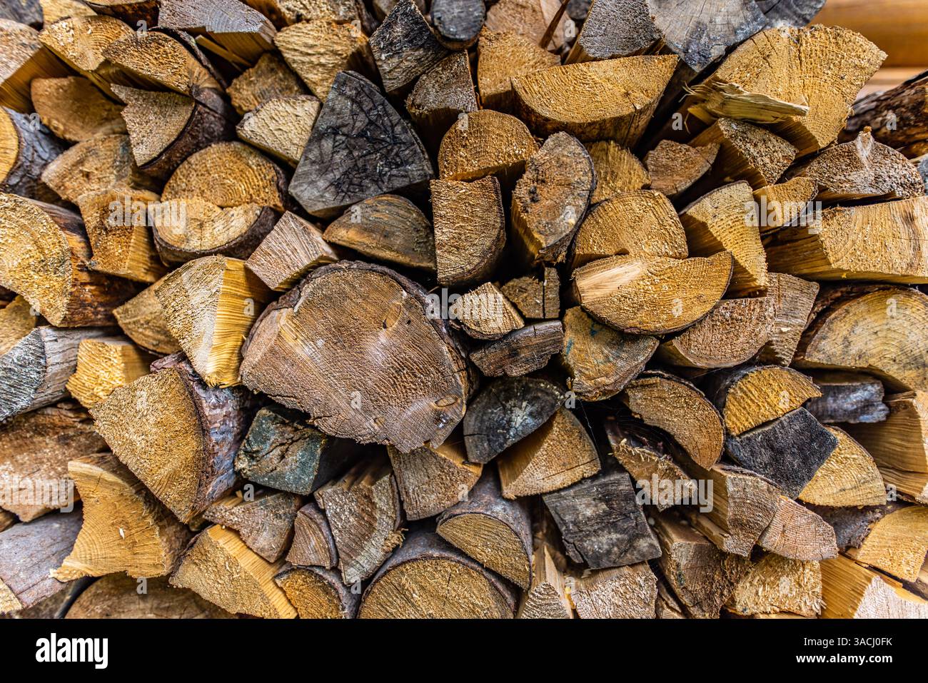 Wood Logs For Display