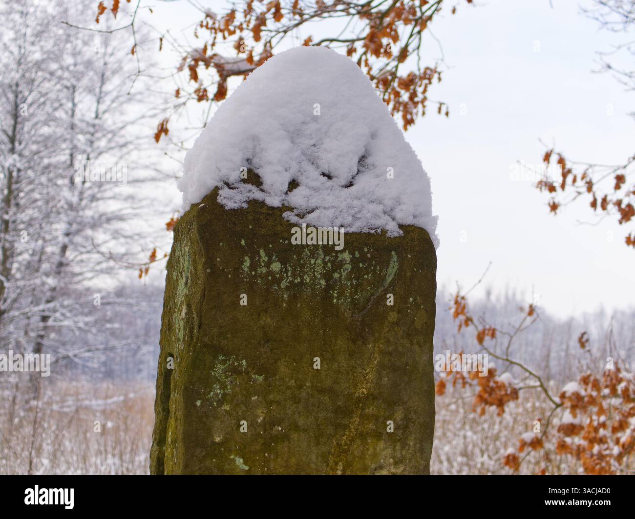 Concrete pillar with snow cap and trees in the background and one tree with brown leaves Stock Photo