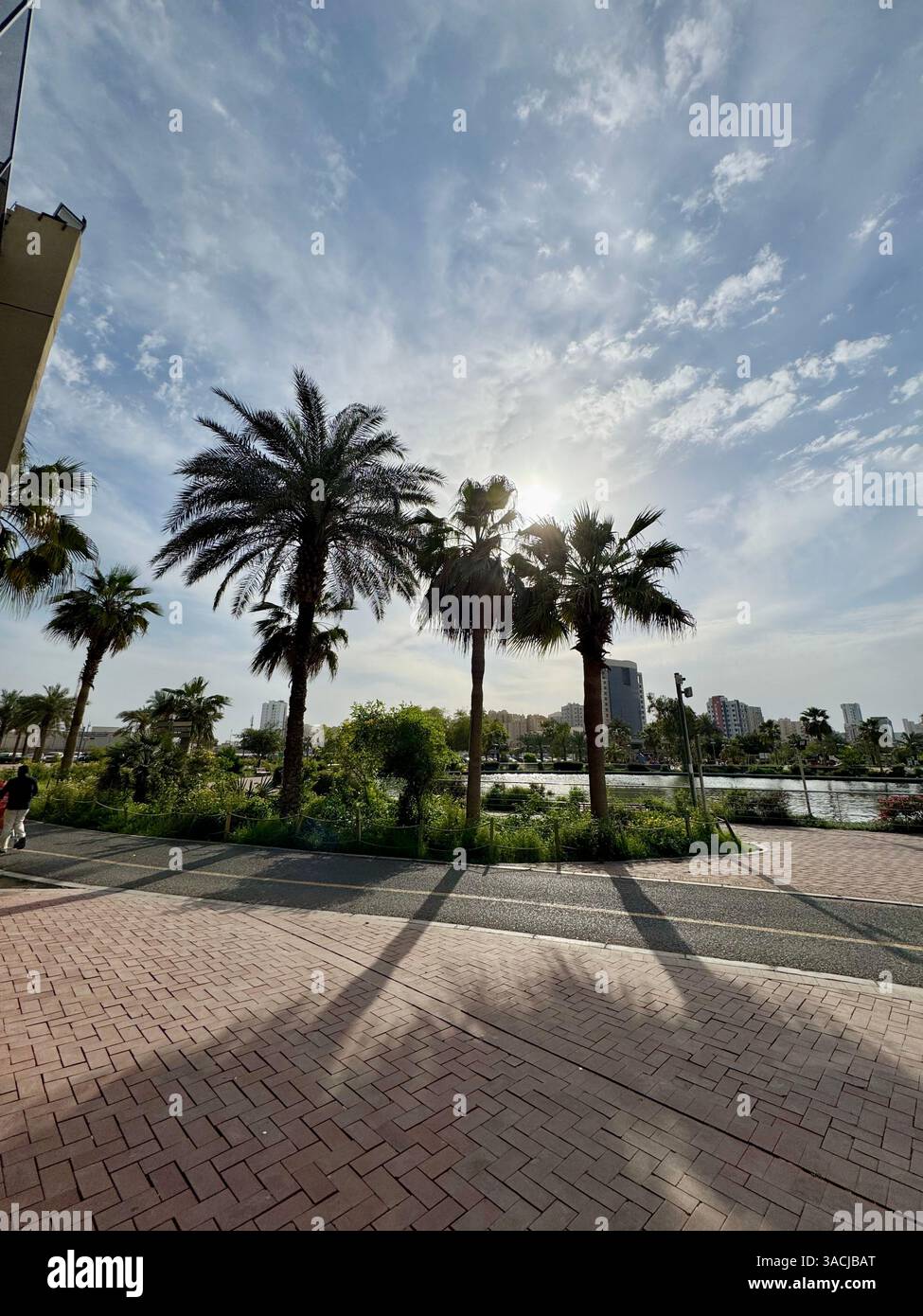 A spring morning from Kuwait - Smartphone Captured Stock Image