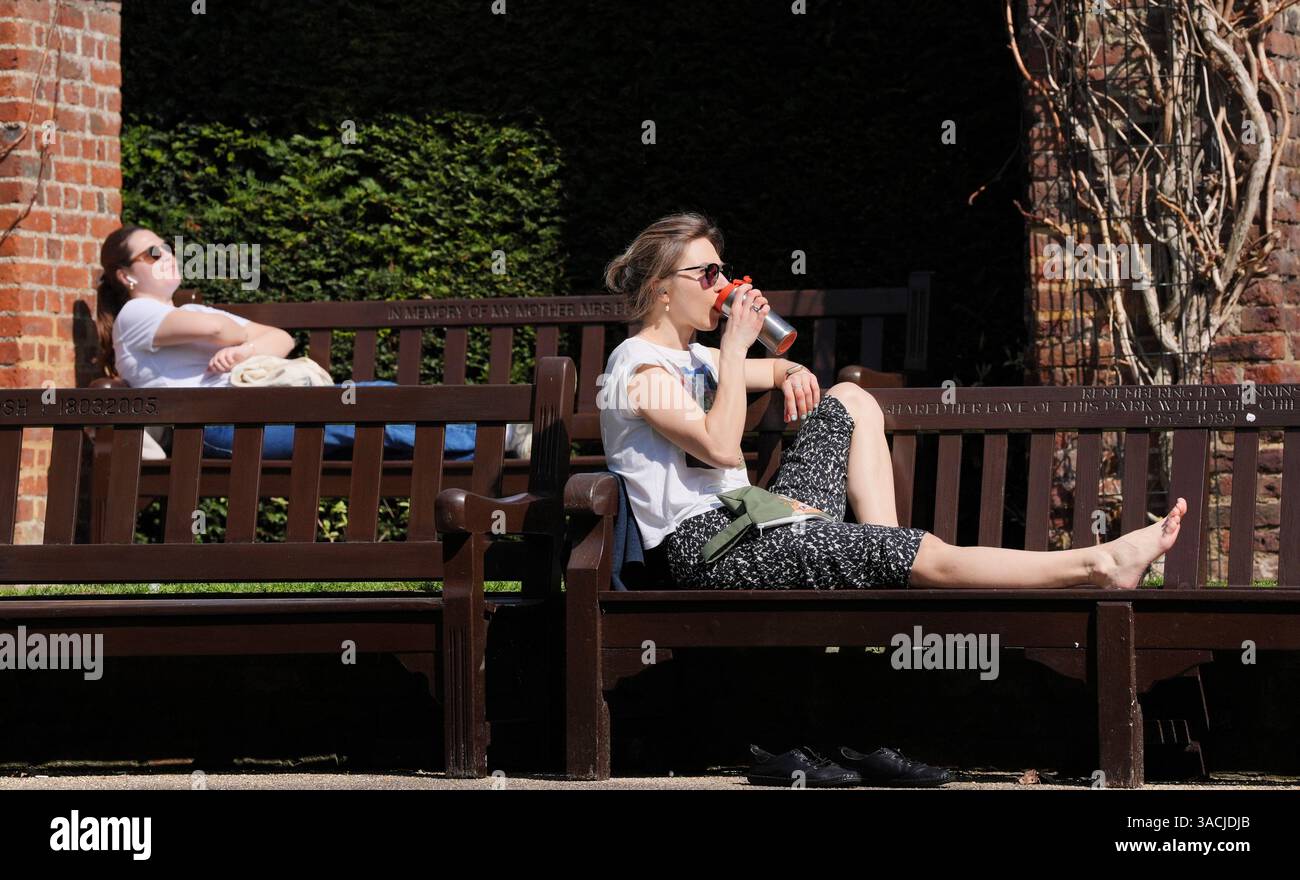 lunchtime-visitors-to-holland-park-london-sit-in-the-sunshine-the-uk