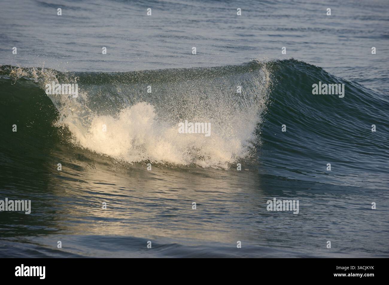 Wave, Camargue, Provence, Southern France | Welle, Camargue, Provence, Südfrankreich Stock Photo