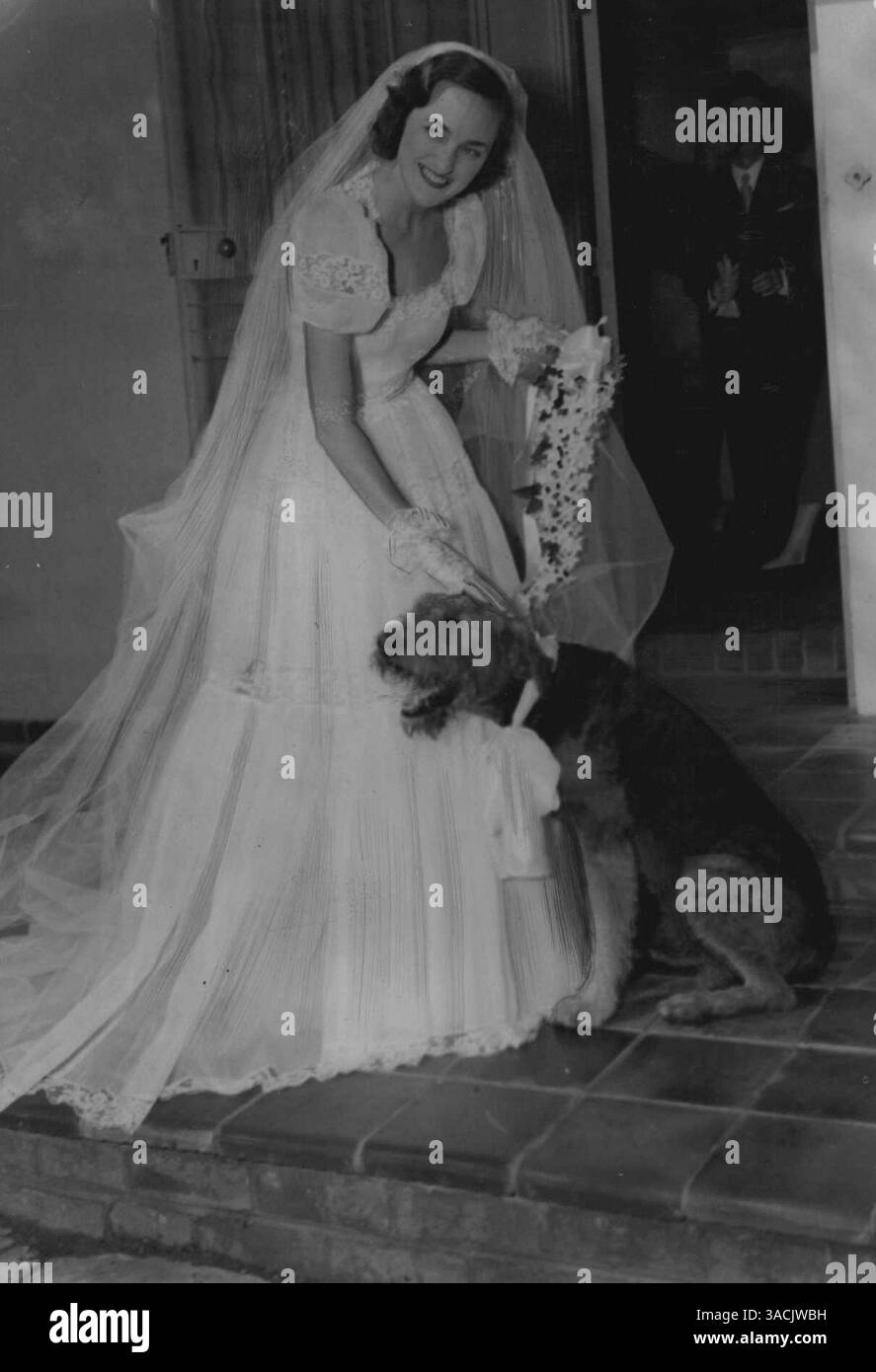 Sun shines on Canterbury grads, image size:887x1390