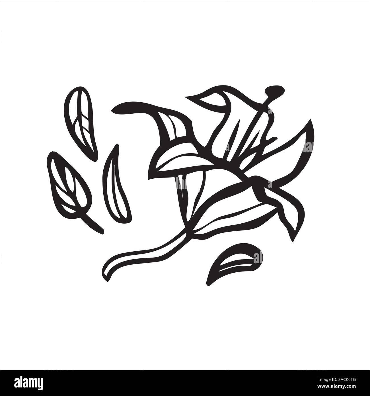 Vector doodle hand drawn lily with leaves Stock Vector Image & Art - Alamy