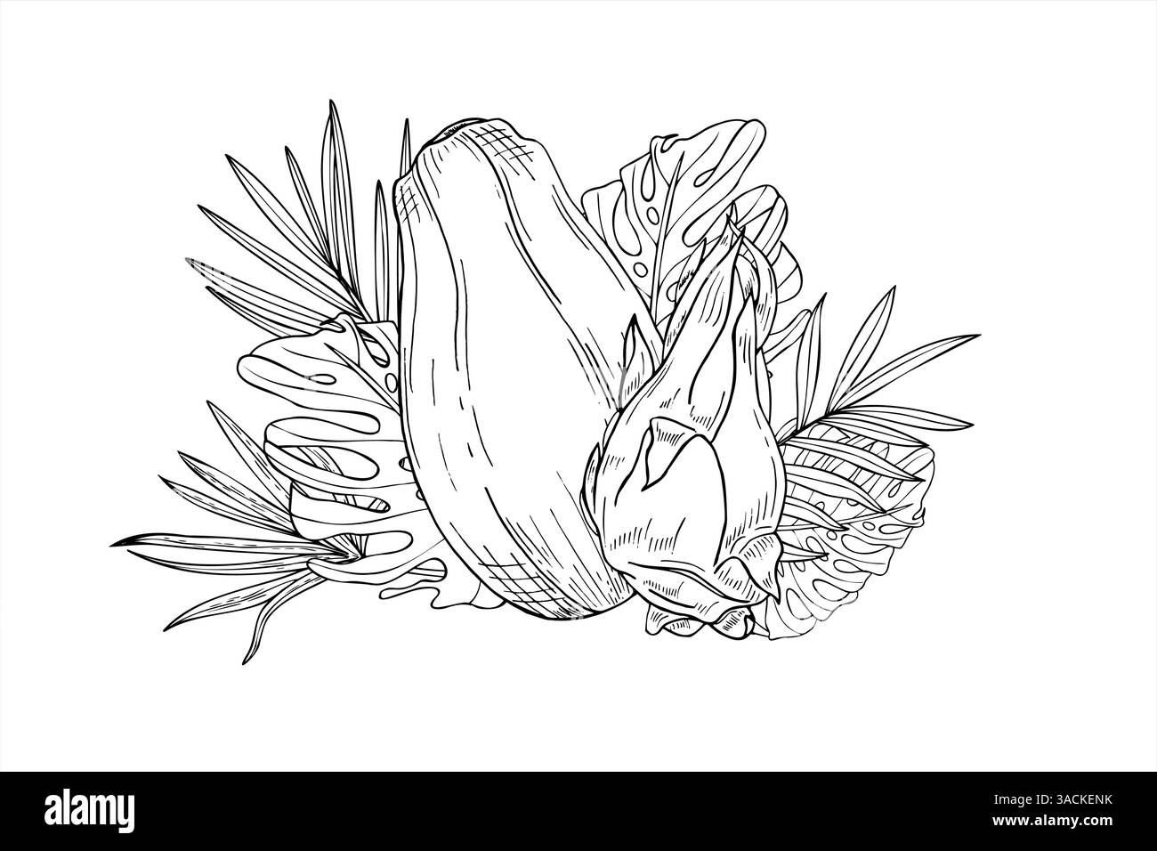 Vector tropical papaya, pitahaya among leaves hand drawn isolated illustration painted by black inks. Sweet whole fruits, monstera, palm leaf graphic Stock Vector