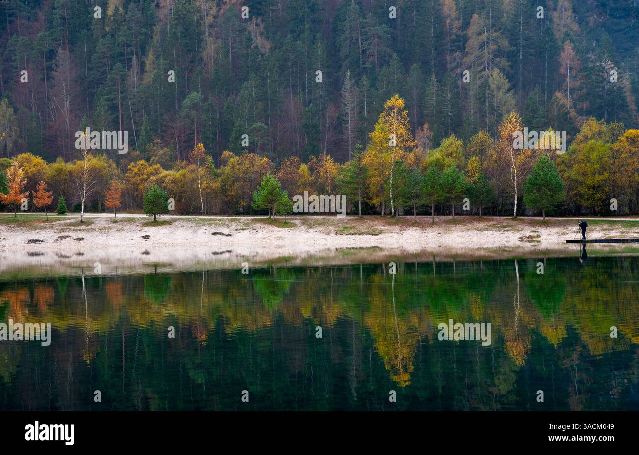 Colorful autumn trees reflecting on the surface of a calm lake with photographer standing on a wooden pier, Lake jasna Slovenia Stock Photo