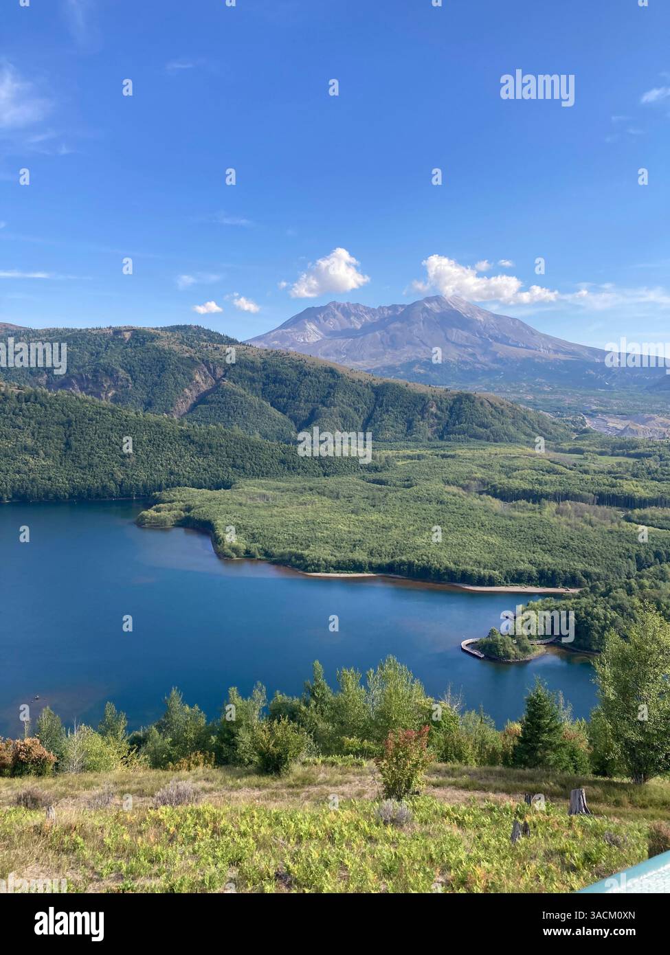 Mt. St. Helens View From Coldwater Lake - Smartphone Captured Stock Image