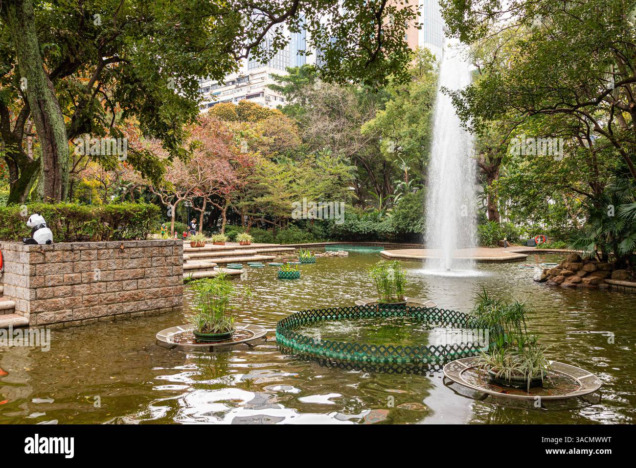 The lotus pond in Kowloon Park, Kowloon, Hong Kong, China Stock Photo