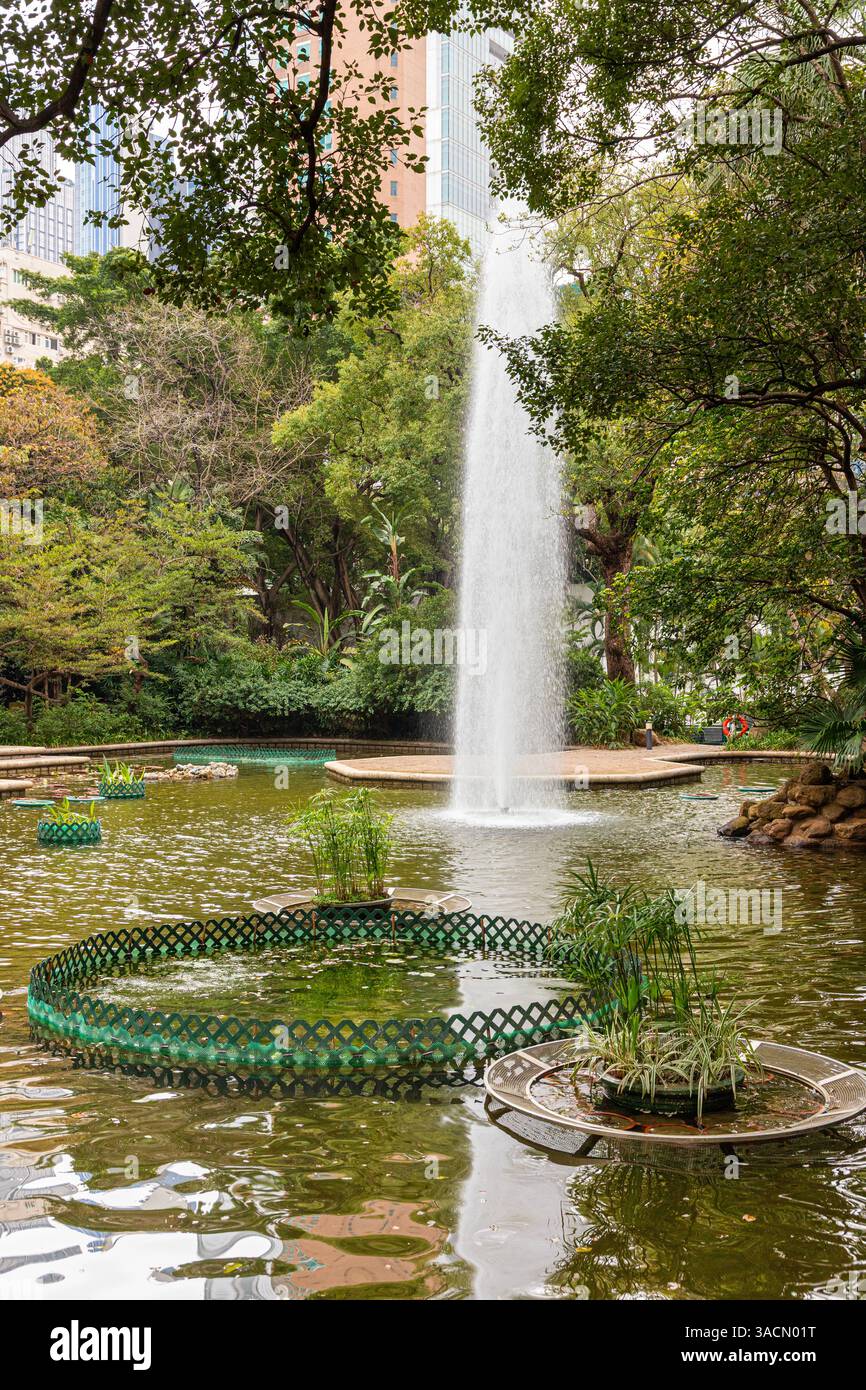 The lotus pond in Kowloon Park, Kowloon, Hong Kong, China Stock Photo