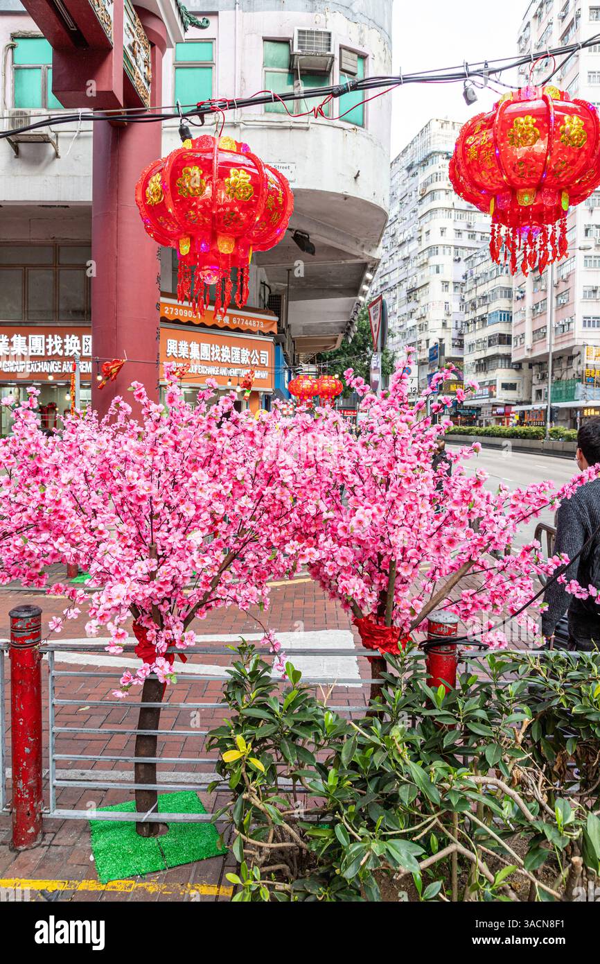 Artificial cherry blossom and Chinese lanterns, Shanghai Sreet, Kowloon ...