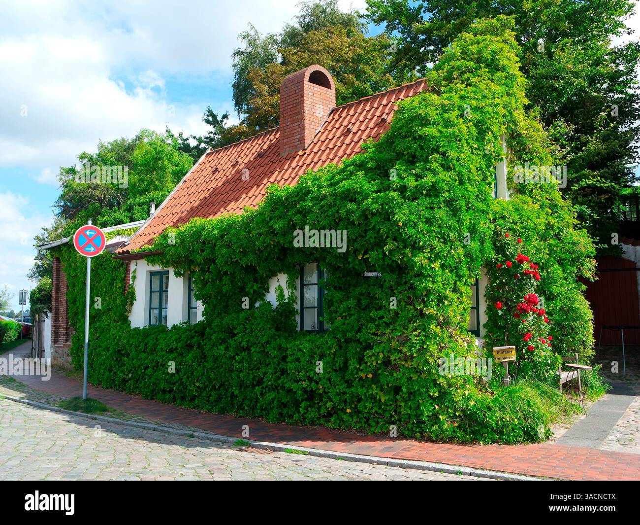 Old house with ivy hi-res stock photography and images - Alamy