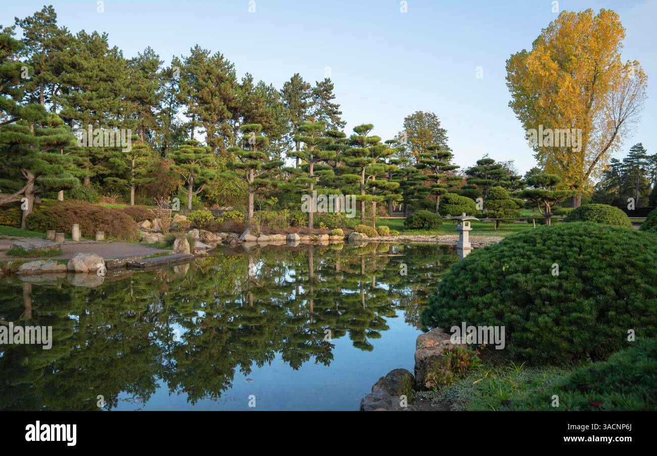 Panoramic image of Japanese Garden during autumn, Dusseldorf, Germany Stock Photo