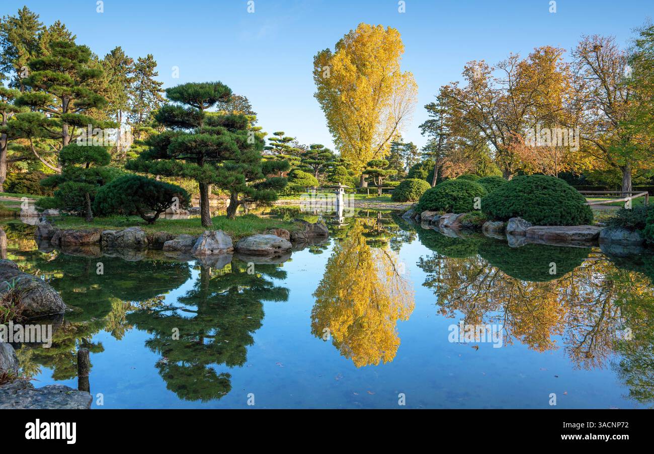 Panoramic image of Japanese Garden during autumn, Dusseldorf, Germany Stock Photo