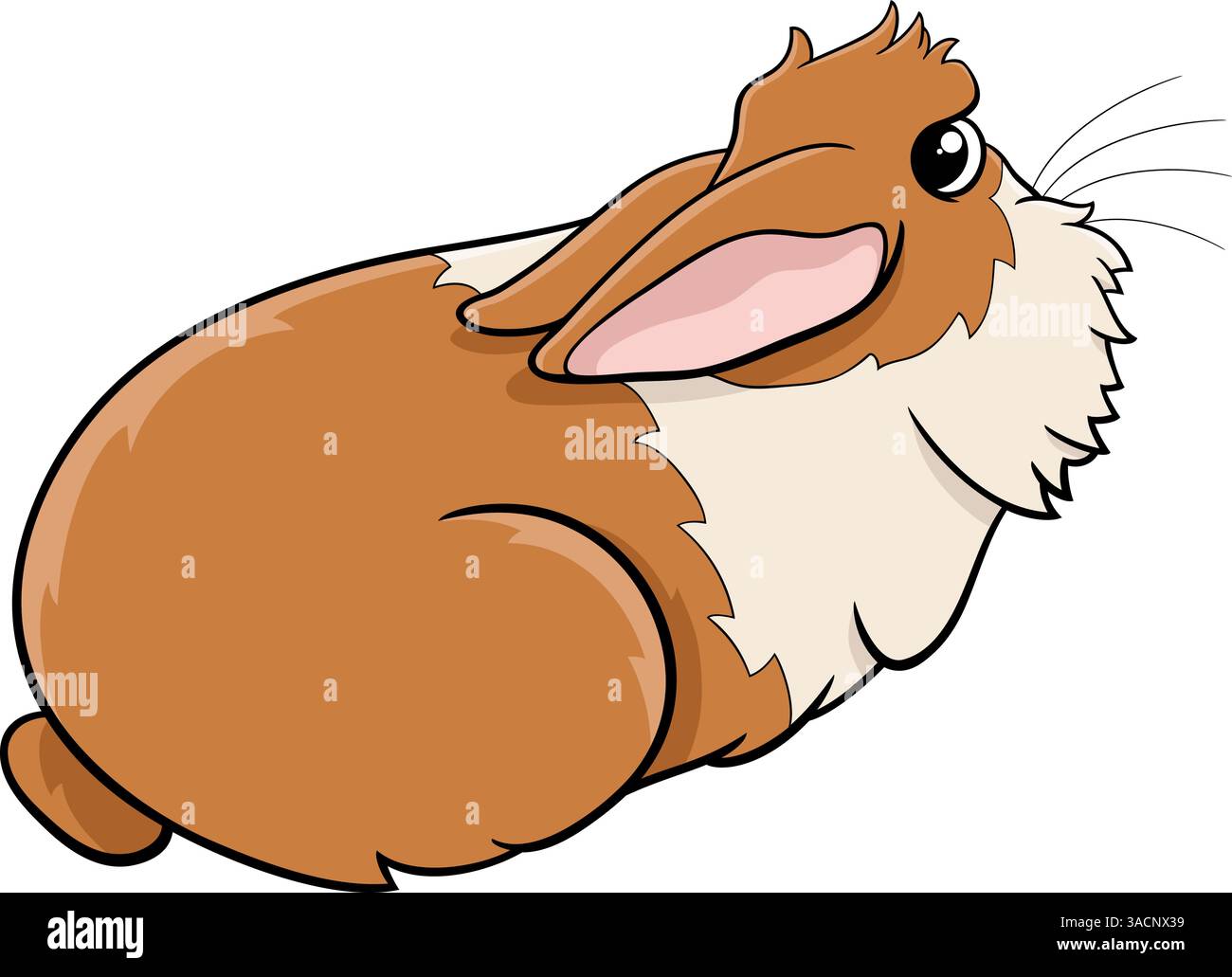 Silly Rabbit Profile Cartoon illustration of funny lying miniature rabbit comic animal ...