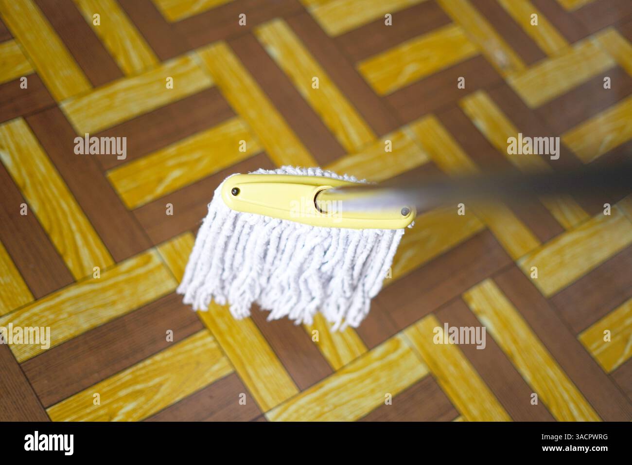mop on a carpet floor Stock Photo