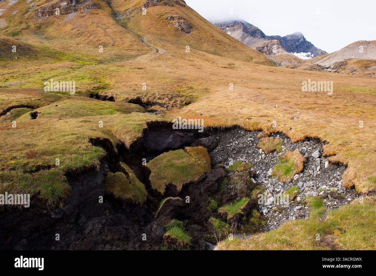 Thawing permafrost - a consequence of global warming Stock Photo
