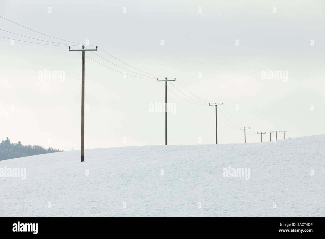 Electricity pylons in winter, black and white Stock Photo - Alamy