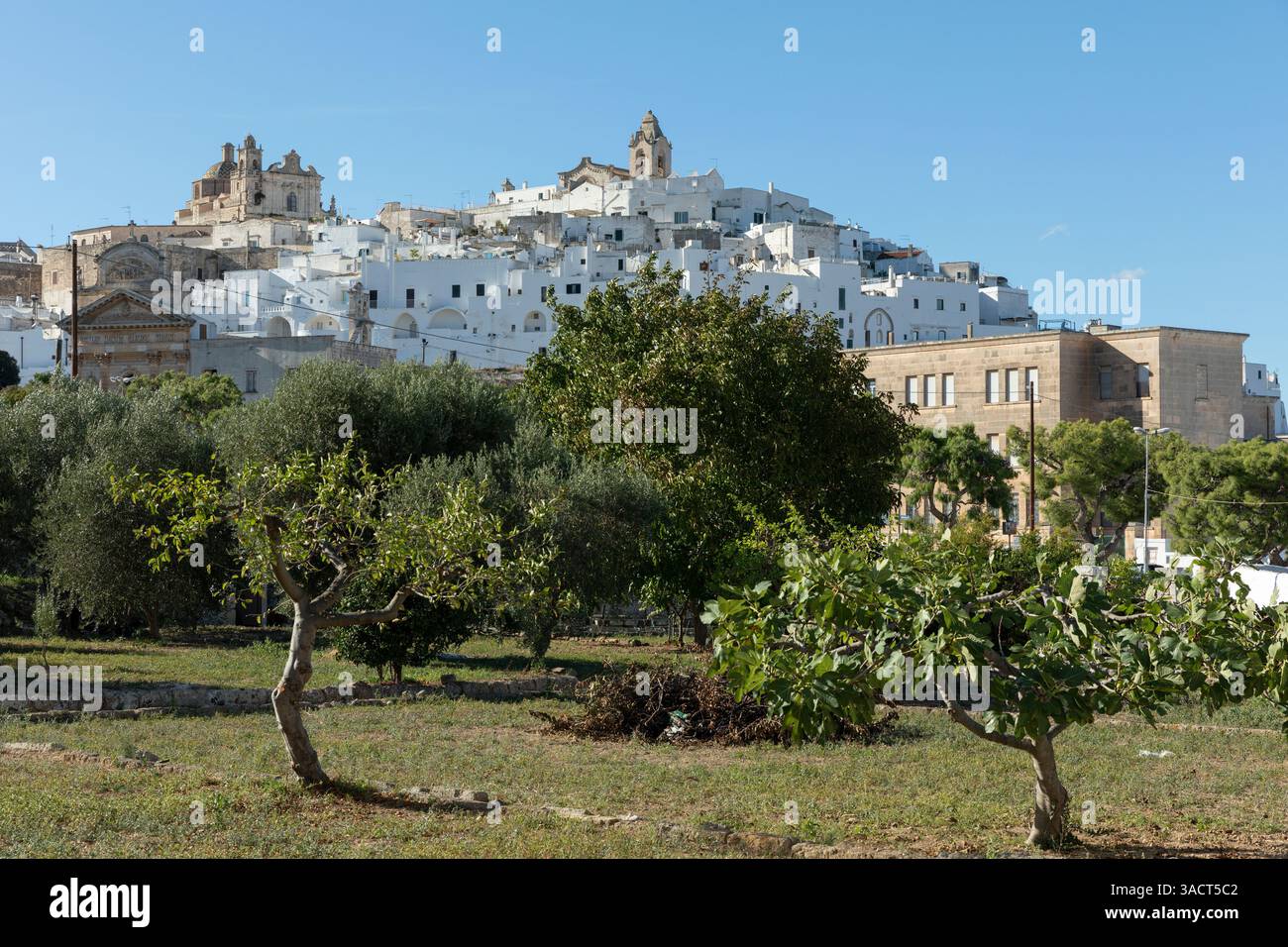 View of ostuni in the province of brindisi hi res stock photography and View of ostuni in the province of brindisi hi res stock photography and