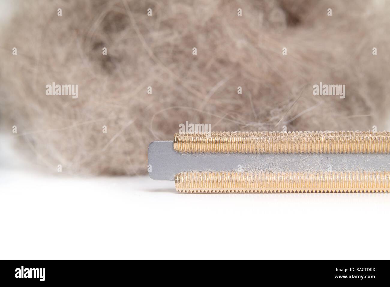 Stubborn dirt brush hi-res stock photography and images - Alamy