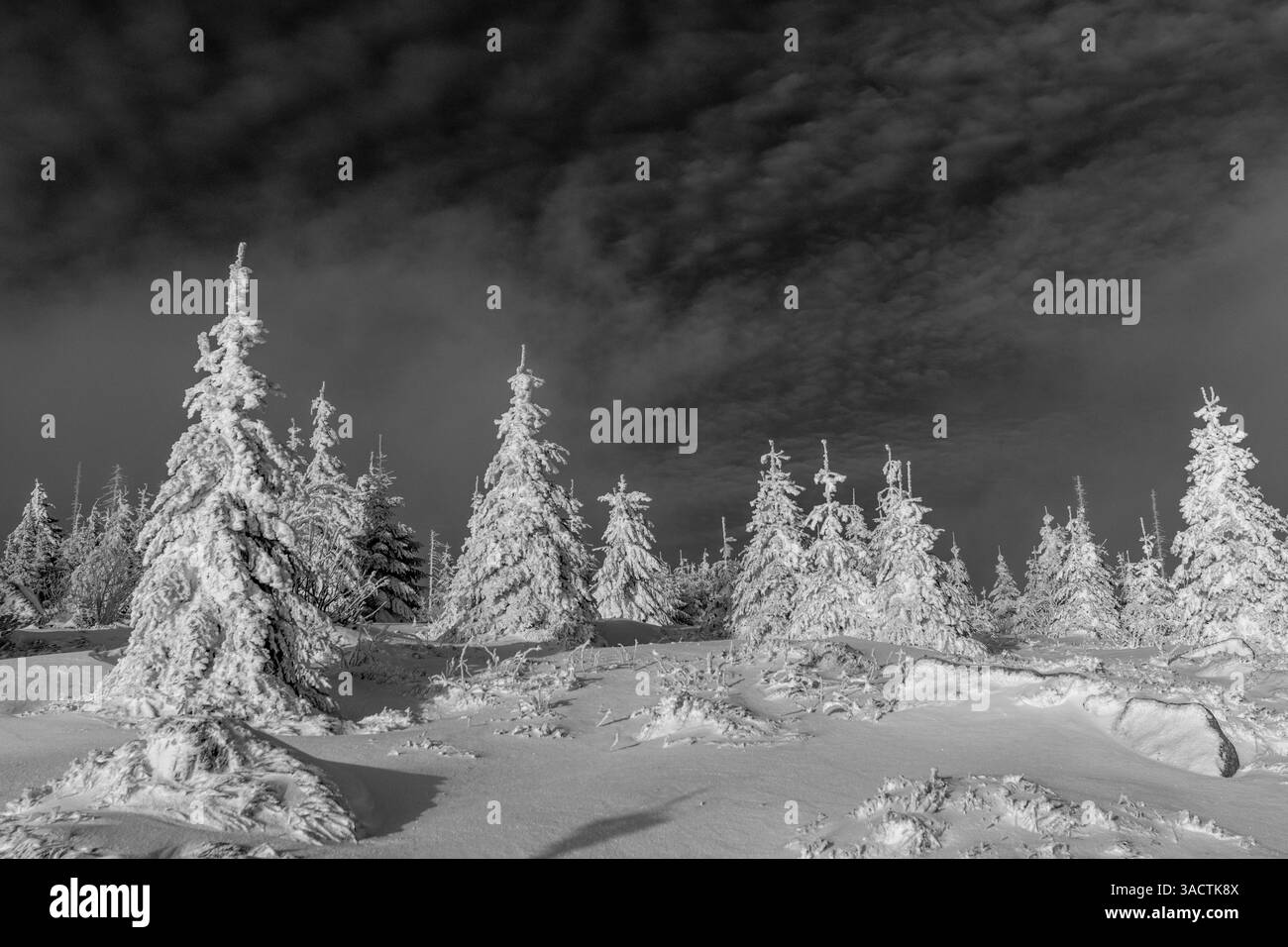 atmospheric motif from the Dreisesselberg in Bavaria Stock Photo
