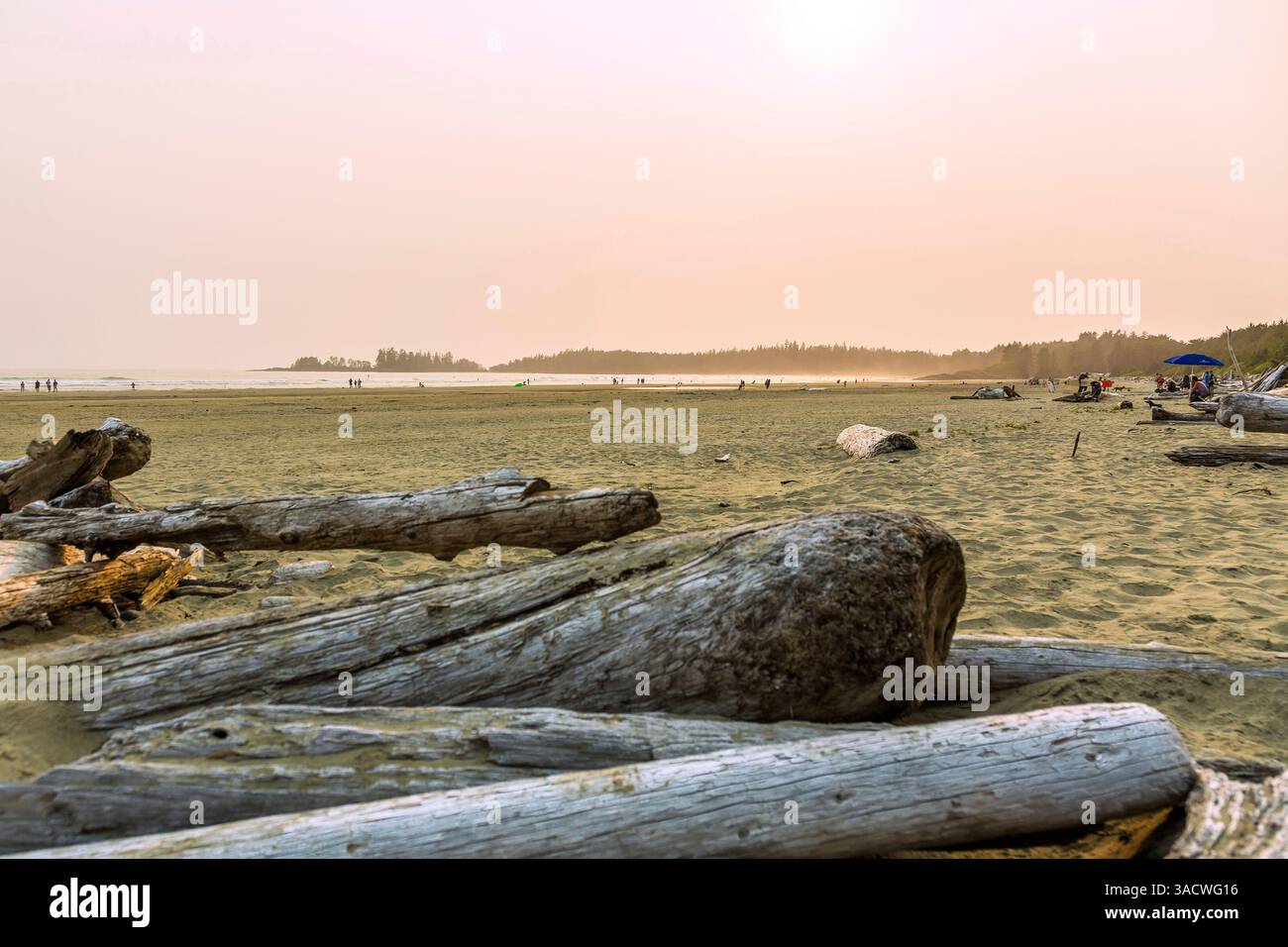 Pacific Rim Islander Sunset pacific rim national hi-res stock photography and images - Alamy