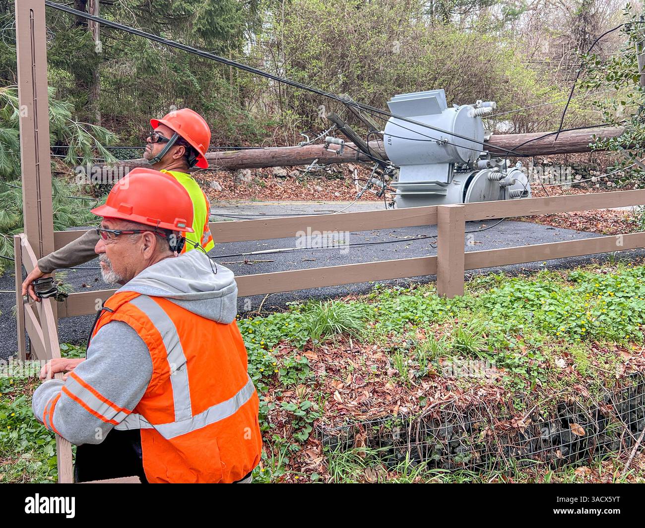 A powerful overnight storm downed trees and damaged cars in Media, PA ...