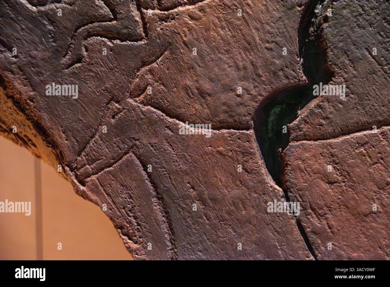 Villa Nova de Foz Coa, Portugal, Copies of the famous prehistoric petroglyphs of Foz Coa, Portugal Stock Photo